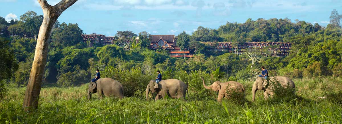 Anantara Golden Triangle Elephant Camp & Resort